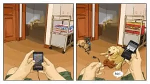 canine illustrations